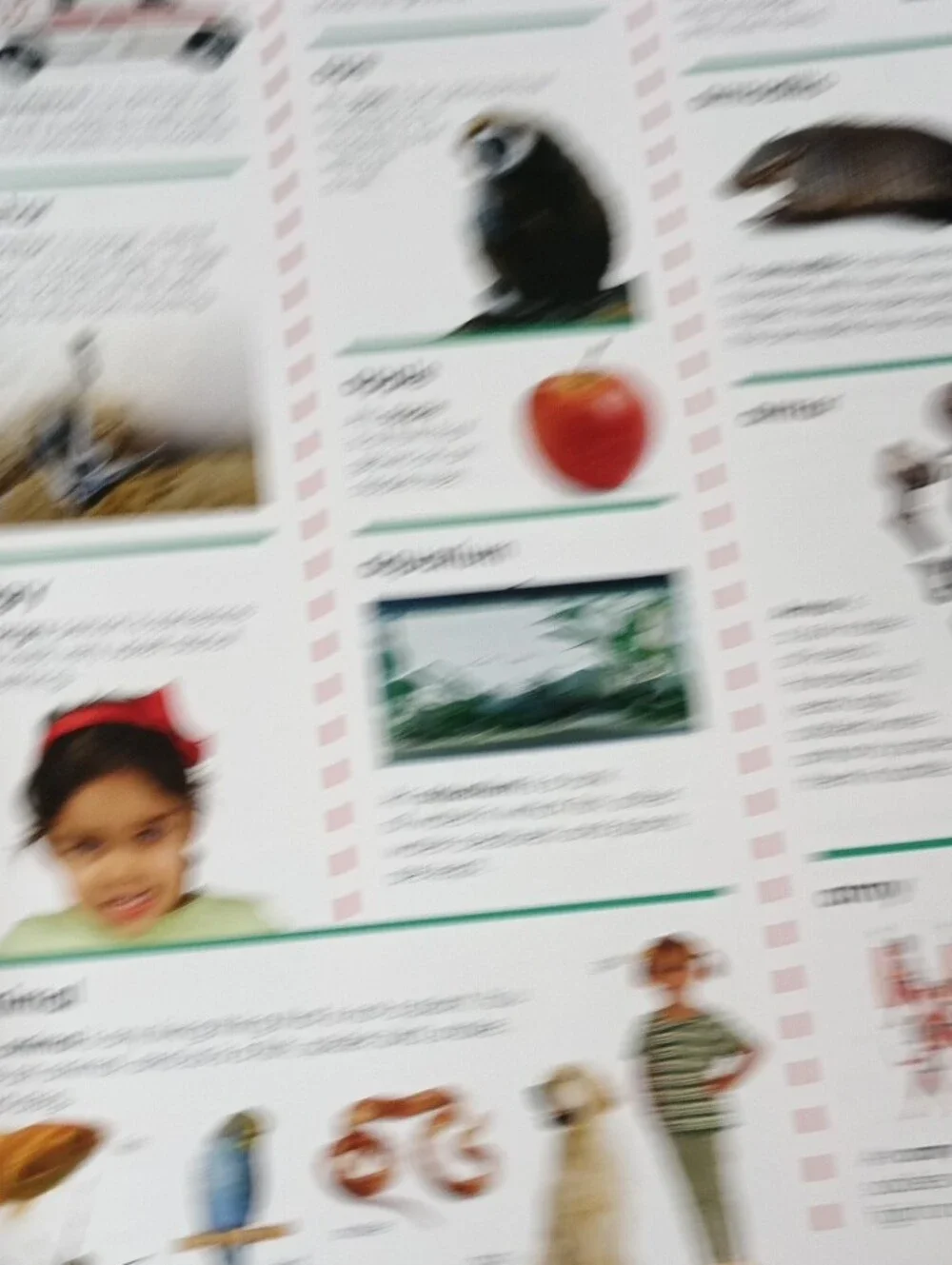 My First Dictionary - Colorful Kids Picture Dictionary